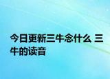 今日更新三牛念什么 三牛的讀音