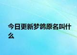 今日更新夢鴿原名叫什么