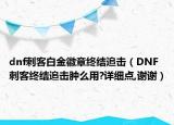 dnf刺客白金徽章終結(jié)追擊（DNF刺客終結(jié)追擊腫么用?詳細(xì)點(diǎn),謝謝）