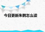 今日更新朱鹮怎么讀