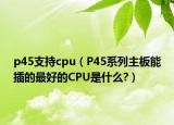 p45支持cpu（P45系列主板能插的最好的CPU是什么?）