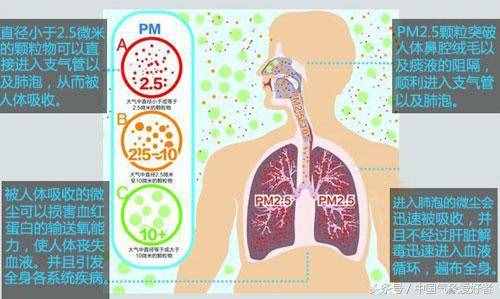 被忽視的空氣污染危害：損傷大腦神經(jīng)，或增加青少年犯罪率！