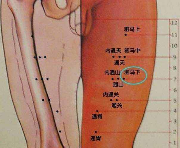 風(fēng)池穴一個(gè)又愛又恨的穴位