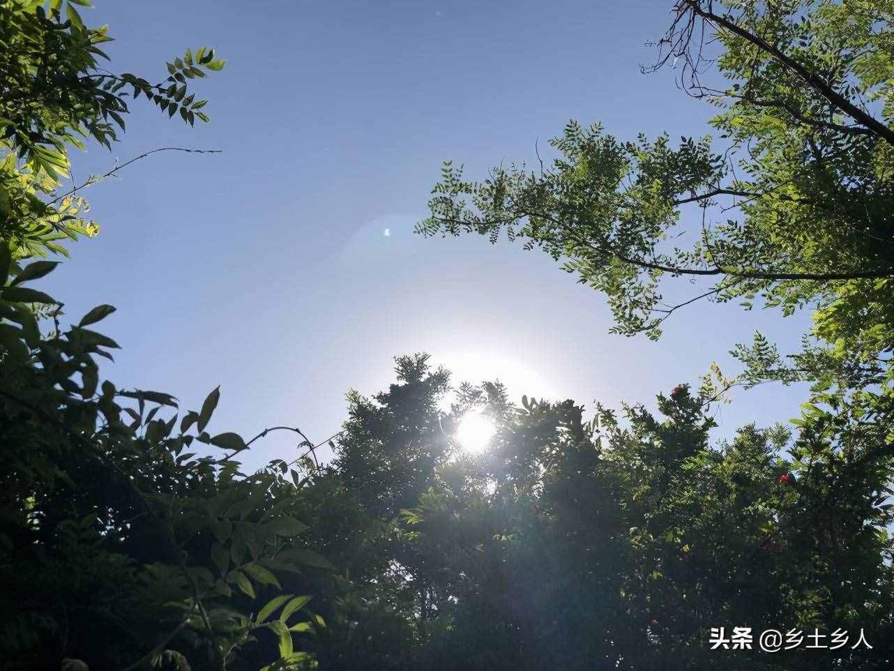 小暑將至，明日逢空，俗語：“日子逢空，萬物減半”，是啥意思？