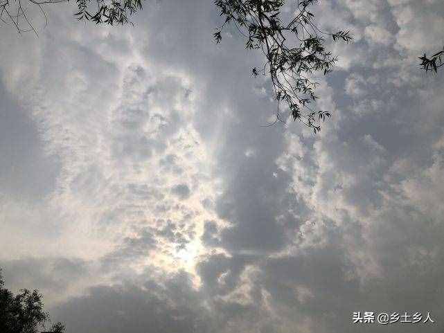 小暑將至，明日逢空，俗語：“日子逢空，萬物減半”，是啥意思？