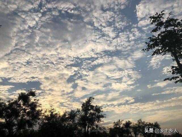 小暑將至，明日逢空，俗語：“日子逢空，萬物減半”，是啥意思？