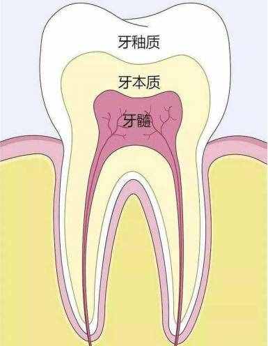 補牙幾十到幾千元不等？到底是水太深還是我被坑？