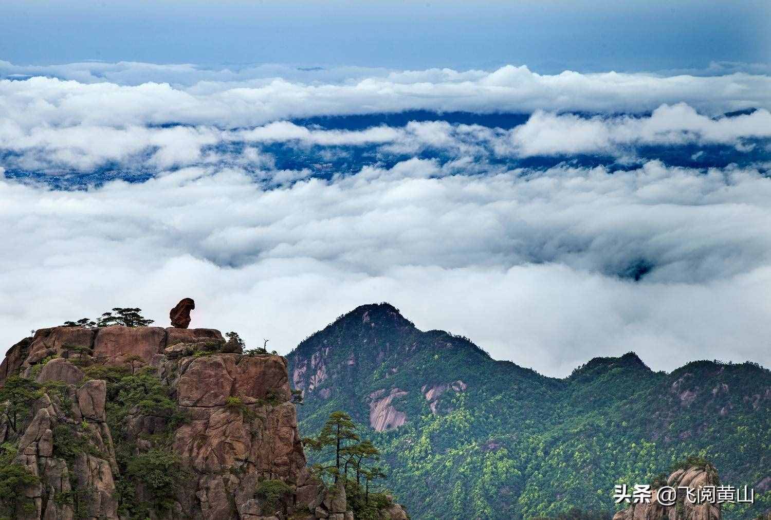 疫情期間，黃山風景區(qū)精品線路推薦和信息指南