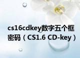 cs16cdkey數(shù)字五個框密碼（CS1.6 CD-key）