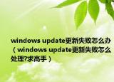 windows update更新失敗怎么辦（windows update更新失敗怎么處理?求高手）