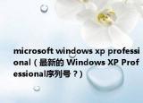 microsoft windows xp professional（最新的 Windows XP Professional序列號(hào) ?）