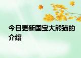 今日更新國(guó)寶大熊貓的介紹