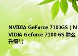 NVIDIA GeForce 7100GS（NVIDIA Geforce 7100 GS 腫么升級(jí)?）