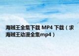 海賊王全集下載 MP4 下載（求海賊王動漫全集mp4）