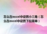 怎么在excel中設(shè)置小三角（怎么在excel中設(shè)置下拉菜單）