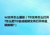 td文件怎么播放（TD文件怎么打開?怎么把TD變成視頻文件打開并且轉(zhuǎn)換呢?）