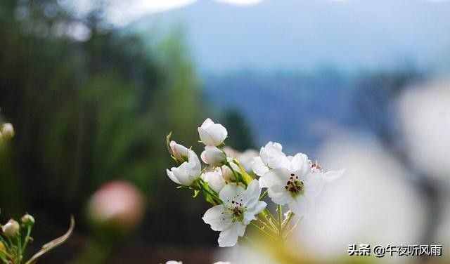 愛(ài)的最高境界——《班扎古魯白瑪?shù)某聊纺弧⑾鄲?ài)，寂靜、歡喜