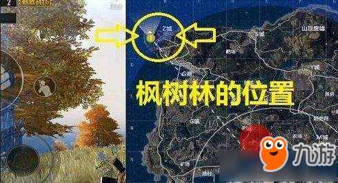 《絕地求生刺激戰(zhàn)場》尋找絕地海島地圖中的野餐聚點(diǎn)任務(wù)攻略