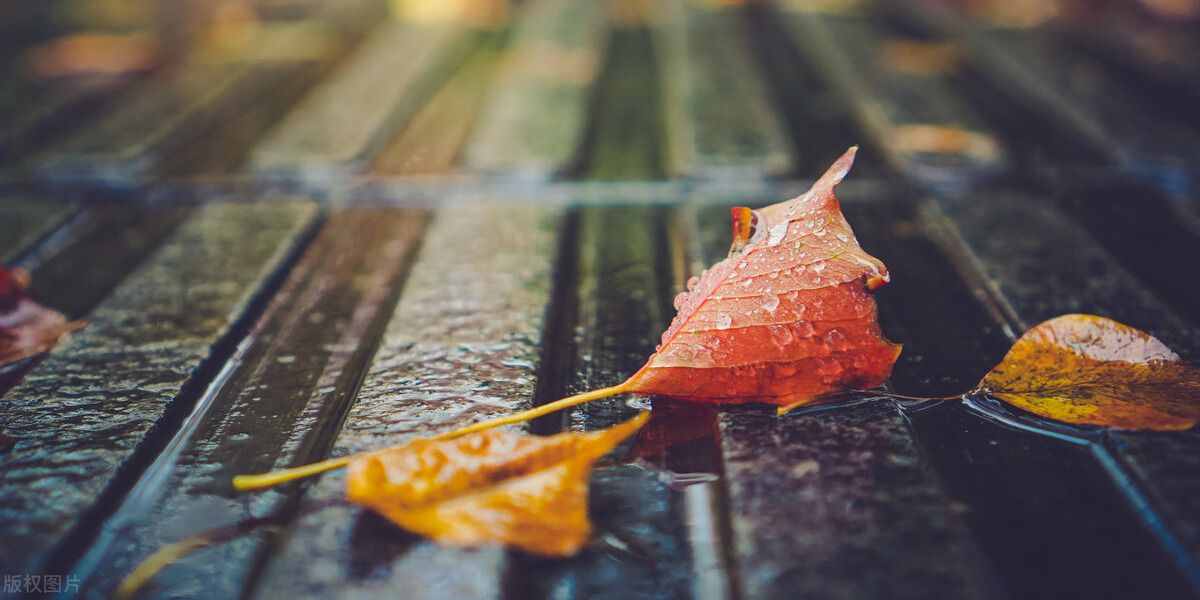 一場秋雨一場涼，秋雨綿綿秋意長