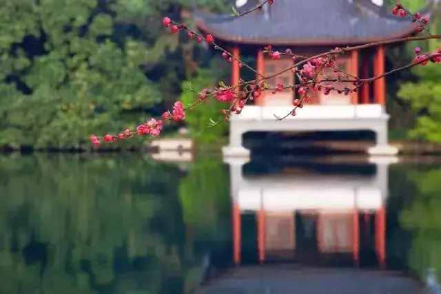 “人不為己，天誅地滅”，原來是這個意思！