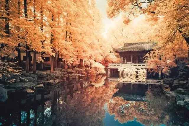 “人不為己，天誅地滅”，原來(lái)是這個(gè)意思！