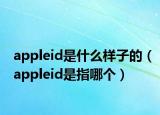 appleid是什么樣子的（appleid是指哪個）