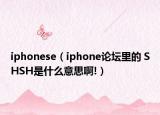 iphonese（iphone論壇里的 SHSH是什么意思啊!）