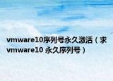 vmware10序列號永久激活（求vmware10 永久序列號）