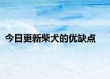 今日更新柴犬的優(yōu)缺點(diǎn)