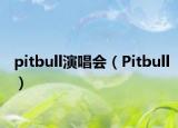 pitbull演唱會（Pitbull）