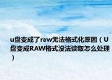 u盤變成了raw無法格式化原因（U盤變成RAW格式?jīng)]法讀取怎么處理）