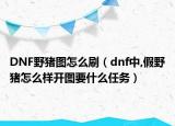 DNF野豬圖怎么刷（dnf中,假野豬怎么樣開圖要什么任務(wù)）