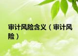 審計(jì)風(fēng)險含義（審計(jì)風(fēng)險）