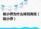 趙小僑為什么嫁劉亮佐（趙小僑）