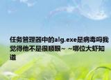 任務管理器中的alg.exe是病毒嗎我覺得他不是很順眼~ ~哪位大蝦知道