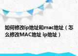 如何修改ip地址和mac地址（怎么修改MAC地址 ip地址）