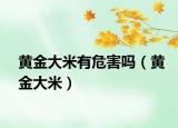黃金大米有危害嗎（黃金大米）