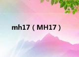 mh17（MH17）