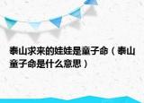 泰山求來的娃娃是童子命（泰山童子命是什么意思）