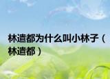 林遣都為什么叫小林子（林遣都）