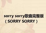 sorry sorry歌曲完整版（SORRY SORRY）