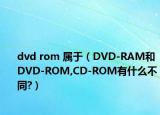 dvd rom 屬于（DVD-RAM和DVD-ROM,CD-ROM有什么不同?）