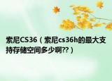 索尼CS36（索尼cs36h的最大支持存儲(chǔ)空間多少啊??）