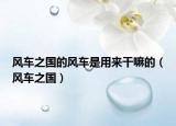 風(fēng)車之國(guó)的風(fēng)車是用來干嘛的（風(fēng)車之國(guó)）