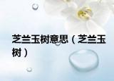 芝蘭玉樹意思（芝蘭玉樹）