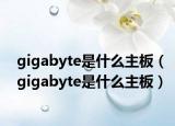 gigabyte是什么主板（gigabyte是什么主板）