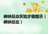 碘鐘反應(yīng)實驗步驟圖示（碘鐘反應(yīng)）