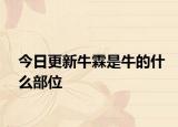 今日更新牛霖是牛的什么部位