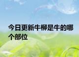 今日更新牛柳是牛的哪個部位
