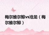 梅爾維爾鯨vs滄龍（梅爾維爾鯨）